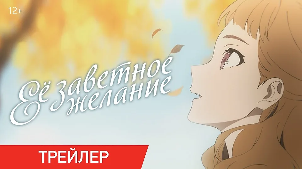 Горизонтальный кадр из проекта «Её заветное желание»